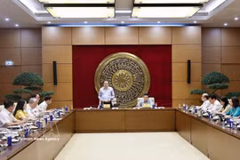 Le président de l’Assemblée nationale, Trân Thanh Mân, lors de la réunion. Photo : VNA