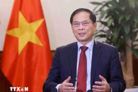 Le vice-Premier ministre vietnamien Bui Thanh Son. Photo : VNA