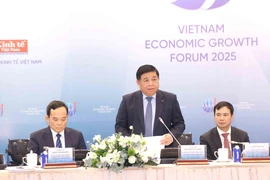 Le vice-Premier ministre Nguyen Chi Dung. Photo : VNA