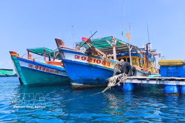 Des embarcations de pêche opérant en mer de Cà Mau. Photo : VNA.