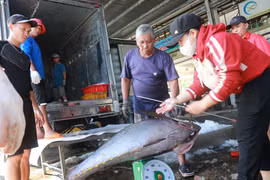Standard Chartered prévoit une croissance de 6,7 % pour le Vietnam en 2025