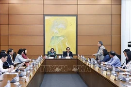 Lors de la session. Photo : VNA