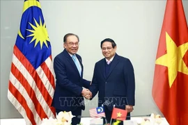 Le Premier ministre vietnamien Pham Minh Chinh (droite) et son homologue malaisien Anwar Ibrahim . 