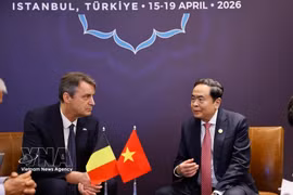 Le président de l'Assemblée nationale, Tran Thanh Man (droite) et le président du Sénat belge, Vincent Blondel, à Istanbul, en Turquie. Photo : VNA
