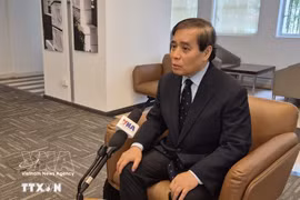 Le professeur Vu Minh Khuong, de l’École de politique publique Lee Kuan Yew de l’Université nationale de Singapour. Photo : VNA