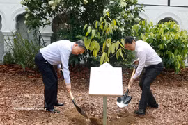 Le secrétaire général du Parti communiste du Vietnam et président de la République Tô Lâm et le Premier ministre Lawrence Wong plantent un arbre au Jardin botanique de Singapour. Photo : VNA