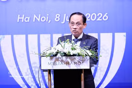 Le ministre des Affaires étrangères Lê Hoai Trung. Photo : VNA
