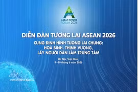 Forum sur l’avenir de l’ASEAN. Photo : VNA