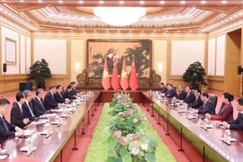 Lors des entretiens entre le président de l'État, Luong Cuong, et le secrétaire général du Parti communiste chinois et président de la République populaire de Chine, Xi Jinping. (Photo : VNA)