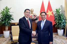Le vice-Premier ministre et ministre des Affaires étrangères, Bui Thanh Son (droite) et Tanaka Yu, vice-président du Présidium et chef par intérim du Secrétariat du Comité central du Parti communiste japonais. Photo : VNA