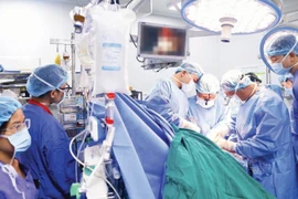 Photo : journal Nhan Dan