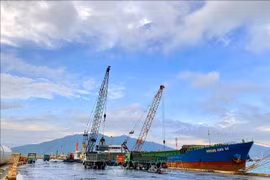 Des moyens de manutention des marchandises au port de Vung Ang. Photo : VNA