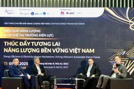 Des entreprises et des experts participent à la séance de discussion lors de l'atelier. Photo : VNA