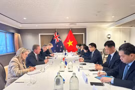 Lors de l'entretien entre e ministre vietnamien de l’Industrie et du Commerce, Lê Manh Hung et le ministre néo-zélandais du Commerce et de l’Investissement, Todd McClay. Photo : VNA