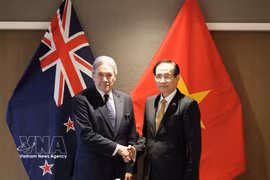 Le ministre vietnamien des Affaires étrangères, Lê Hoài Trung, et son homologue néo-zélandais des Affaires étrangères, Winston Peters. Photo : VNA