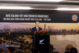 Le secrétaire général du Comité central du Parti communiste du Vietnam et président de la République, Tô Lâm, lors de la table ronde des entreprises Nouvelle-Zélande-Vietnam. Photo : VNA