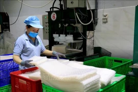 Production de galettes de riz, spécialité de Tây Ninh, à la société à responsabilité limitée Tân Nhiên (hameau de Truong Phu, commune de Truong Dông, ancien chef-lieu de la ville de Hoa Thành). Photo d’illustration : VNA