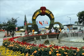 Da Lat en fleurs : 20 000 visiteurs en 15 jours