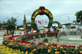 Da Lat en fleurs : 20 000 visiteurs en 15 jours