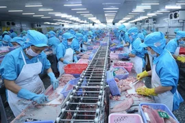 Après une forte croissance en début d’année, les exportations de produits aquatiques du Vietnam ont marqué un net ralentissement en juin 2025. Photo : VNA
