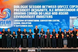 Les ministres de l'environnement de l'ASEAN et l'ambassadeur André Aranha Corrêa do Lago, président désigné de la 30e Conférence des Nations Unies sur les changements climatiques (COP30), posent pour une photo (Photo : VNA)