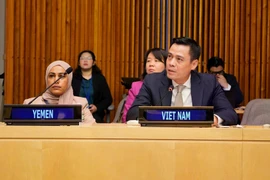 L'ambassadeur Dang Hoang Giang, représentant permanent du Vietnam auprès de l'ONU, prend la parole lors du dialogue. (Photo : VNA)
