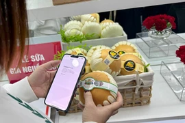Le Vietnam lance un système national de traçabilité des produits. Photo : VNA