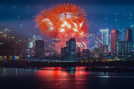 La ville de Da Nang dévoile sa beauté moderne sous un ciel embrasé par les feux d’artifice. Photo : VNA