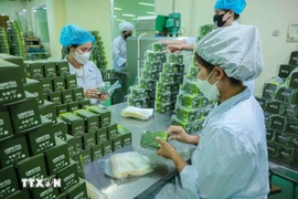 Production de produits à base de plantes chez Lam Dong Pharmaceutical Joint Stock Company. Photo . VNA