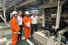 Des ingénieurs d'EVN inspectent des équipements électriques dans une usine de Hanoï. Photo VNA