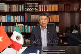L'ambassadeur du Vietnam au Mexique et au Panama, Nguyen Van Hai. Photo : VNA