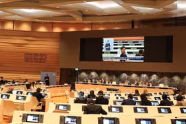 Lors de la présentation des conclusions de la séance de défense du rapport de la délégation vietnamienne sur la Convention internationale relative aux droits des personnes handicapées (CDPH). Photo :VNA