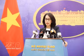 La porte-parole du ministère des Affaires étrangères Pham Thu Hang. Photo : VNA
