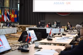 Lors de la 5e réunion du Comité de coopération conjointe entre l’Association des nations de l’Asie du Sud-Est (ASEAN) et le Royaume-Uni. Photo / VNA