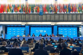Lors de l’ouverture de la 181e session du Conseil de la FAO, qui se déroule à Rome, en Italie. Photo : VNA