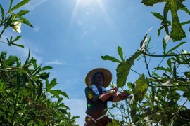 Photo: The Edge Singapore