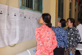 Des habitants khmers du hameau de Ngã Cạy, commune de Xà Phiên, consultent les informations sur les candidats aux élections de l’Assemblée nationale et des Conseils populaires affichées à la pagode Bôrâysarâychum. Photo : VNA.