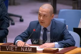 Le ministre conseiller Nguyen Hoang Nguyen, représentant permanent adjoint du Vietnam auprès des Nations Unies. Photo : VNA