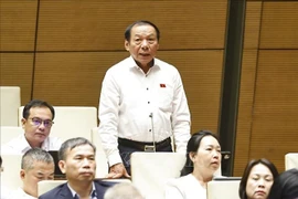 Le ministre de la Culture, des Sports et du Tourisme, Nguyên Van Hung. Photo : VNA