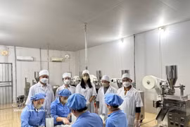 Dans la commune de Con Cuông, province de Nghe An, la société par actions Pu Mat de plantes médicinales a développé des produits de cissus et de Gymnema sylvestre en extrait concentré, certifiés OCOP 4 étoiles. Photo : VNA