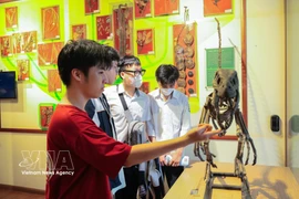 Des élèves visitent et découvrent le Musée d’Histoire naturelle du Vietnam. Photo : VNA