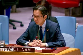 L'ambassadeur Do Hung Viet, représentant permanent du Vietnam auprès des Nations Unies. Photo : VNA