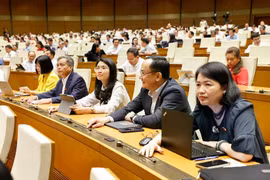 L'Assemblée nationale adopte des lois modifiées sur l'impôt sur les sociétés et les droits d'accise (Photo : VNA)