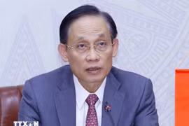 Lê Hoai Trung, membre du Comité central du Parti et ministre vietnamien par intérim des Affaires étrangères. Photo : VNA