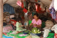 L'ONU alerte sur l'aggravation de la crise alimentaire au Myanmar