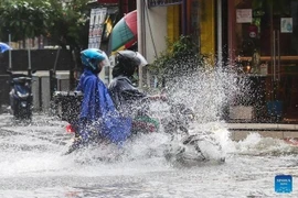 Une rue est inondée après de fortes pluies suite au passage du typhon Wipha à Quezon, aux Philippines (Photo : Xinhua/VNA)