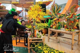 De nombreux visiteurs admirent les créations artistiques à base de fruits réalisées par l'artisan Nguyen Van Tuyen, originaire d'Hô Chi Minh-Ville. (Photo : VNA)