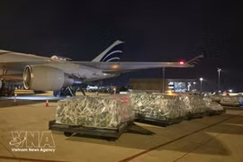 Fruits et légumes frais vietnamiens exportés vers les Émirats arabes unis en avril. Photo d'illustration : VNA