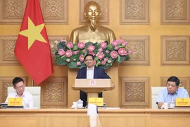 Le Premier ministre Pham Minh Chinh lors de la séance de travail avec le Conseil consultatif politique. Photo : VNA