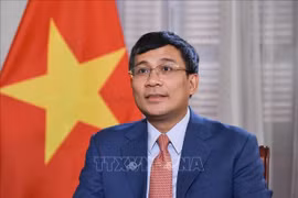 Le vice-ministre permanent des Affaires étrangères du Vietnam, Nguyen Minh Vu. Photo : VNA